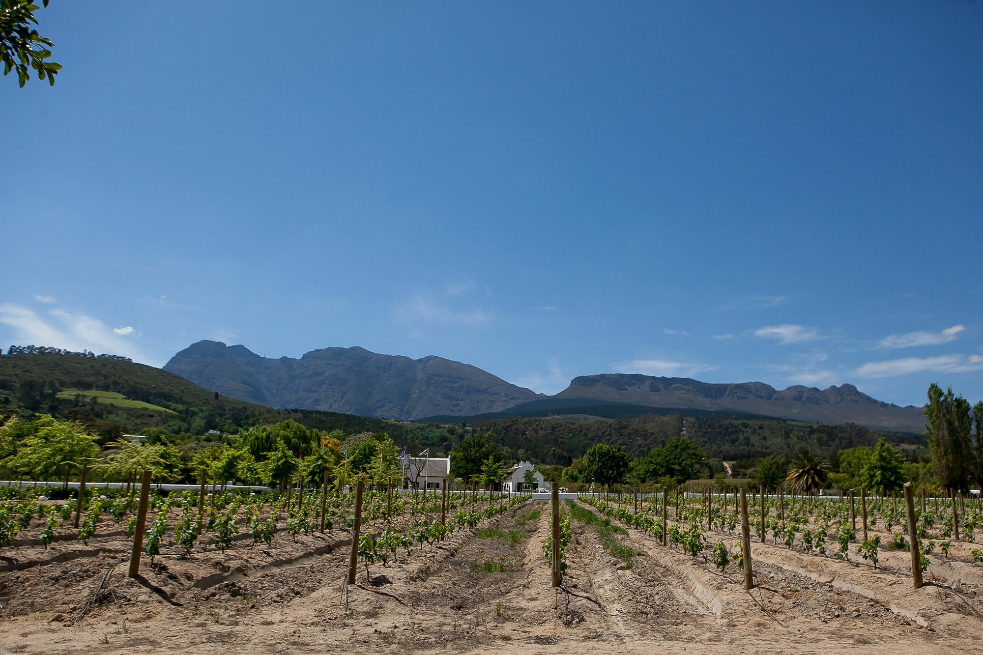 1692 De Kleijne Bos Country House Paarl Exterior foto