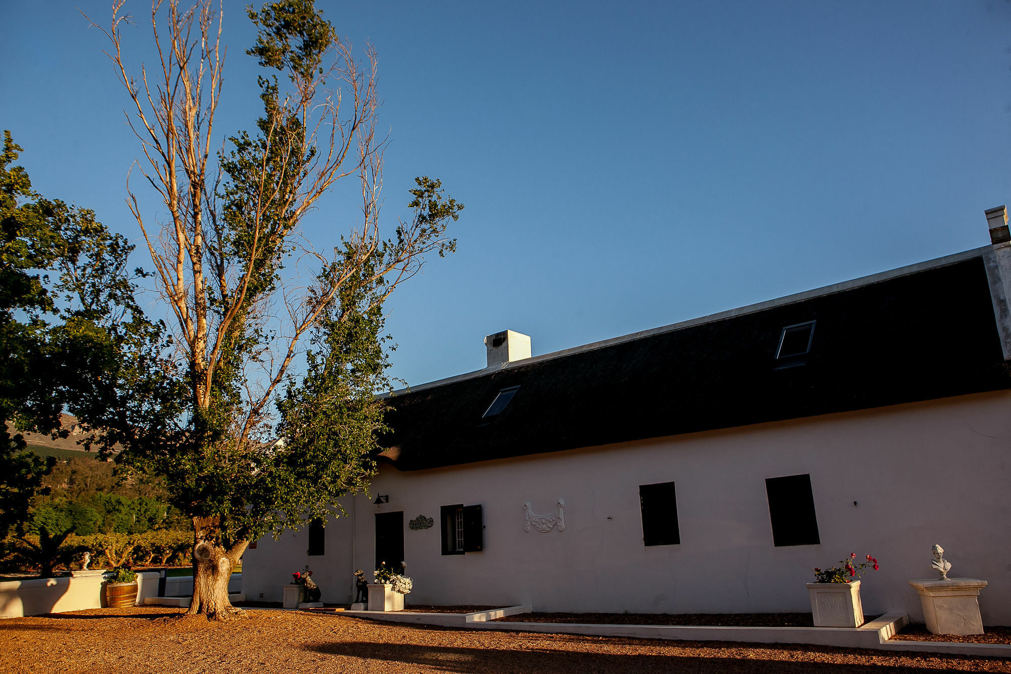 1692 De Kleijne Bos Country House Paarl Exterior foto
